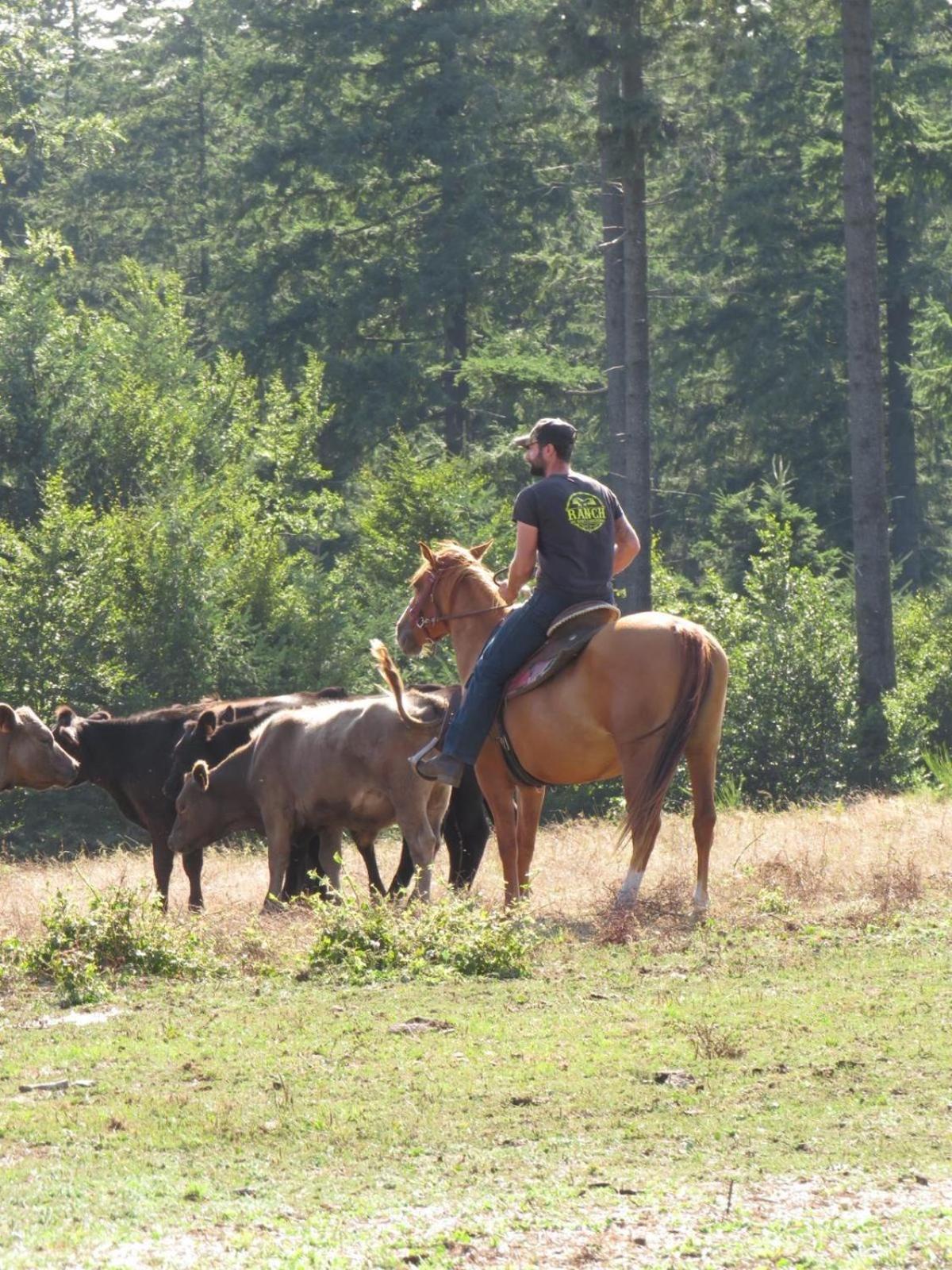 Ranch Du Haut-Languedoc La Salvetat-sur-Agout Exteriör bild